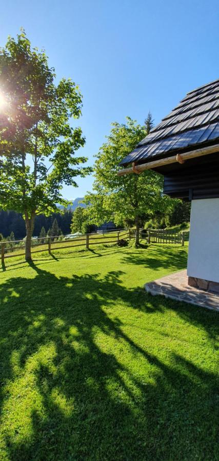 Vakantiehuis House Zvan Na Pokljuki Bohinj